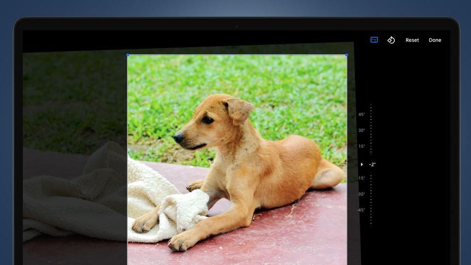 how-to-edit-your-photos-in-google-photos-techradar