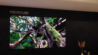 Samsung 110-inch Micro-LED TV mounted on black wall