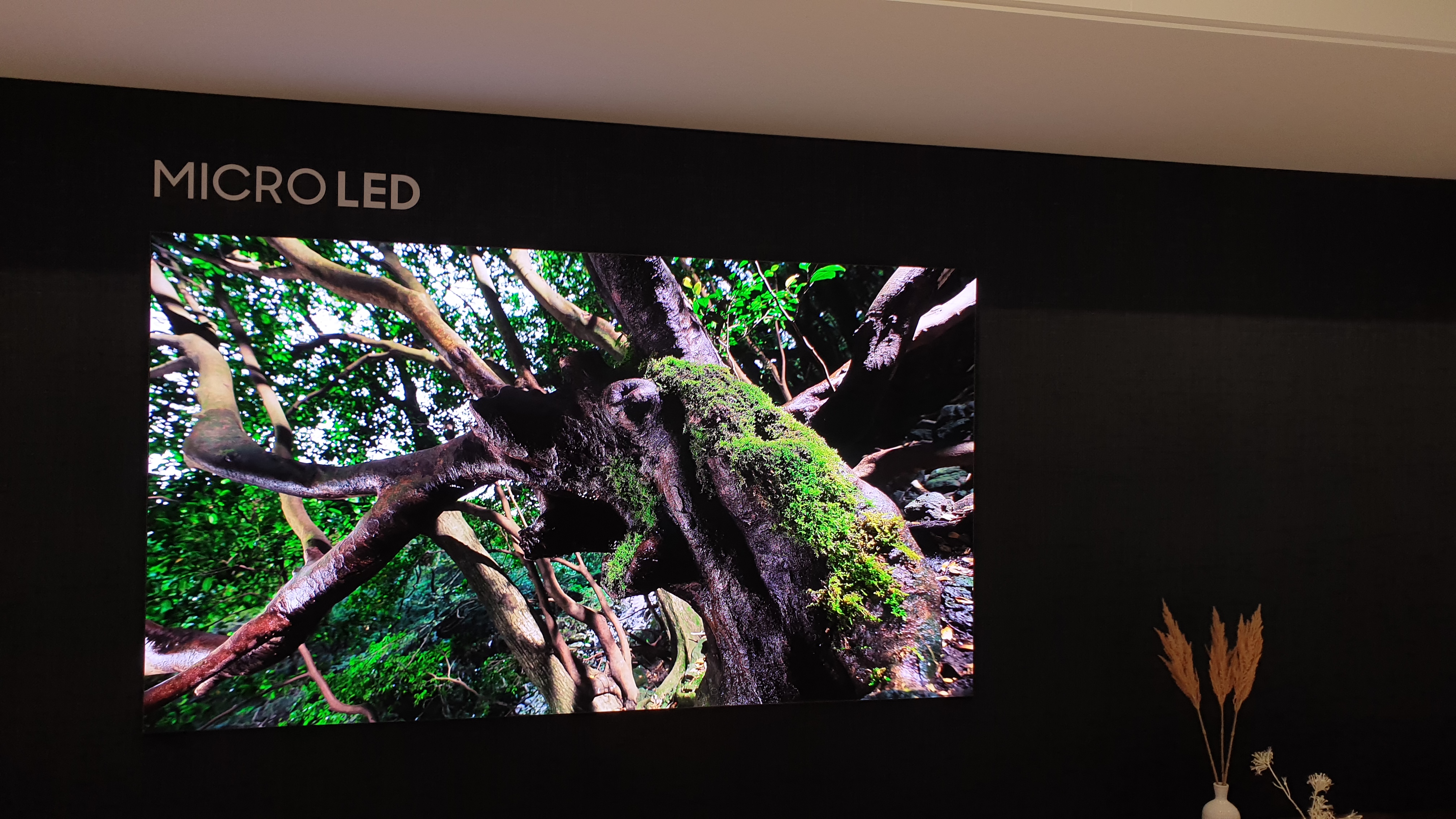 Televisor Samsung Micro-LED de 110 pulgadas montado en una pared negra