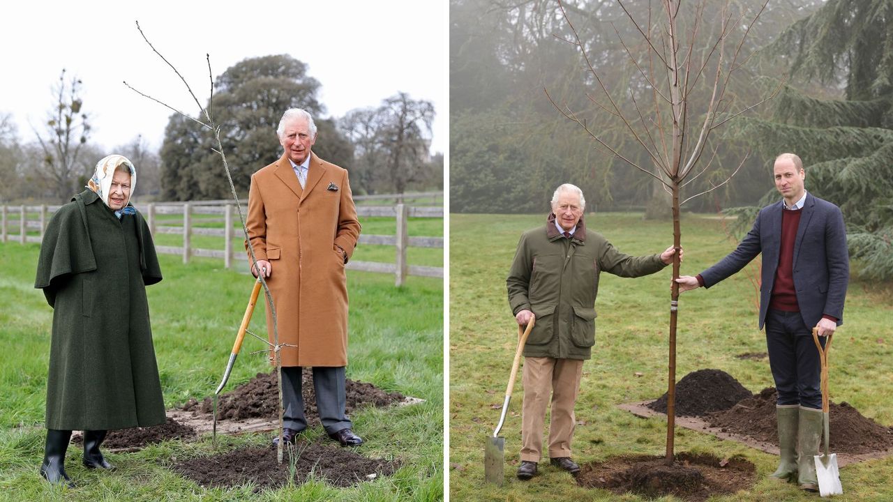 A full circle moment as the Queen&#039;s Green Canopy project comes to an end