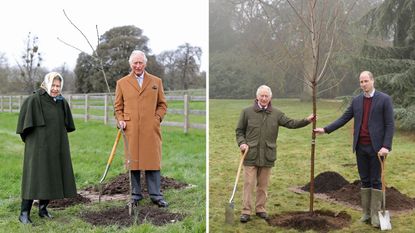 A full circle moment as the Queen's Green Canopy project comes to an end