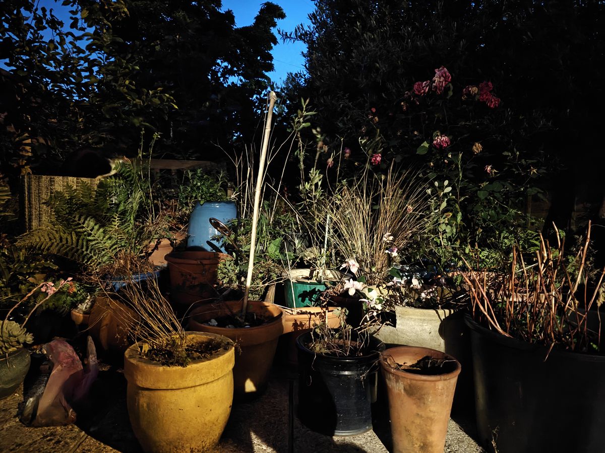 OnePlus 13 camera sample low light
