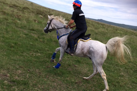 Hillwork on Dartmoor Annie Joppe
