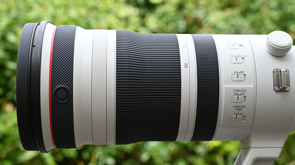 Canon Rf 100-300mm F2.8l Is Usm Review 