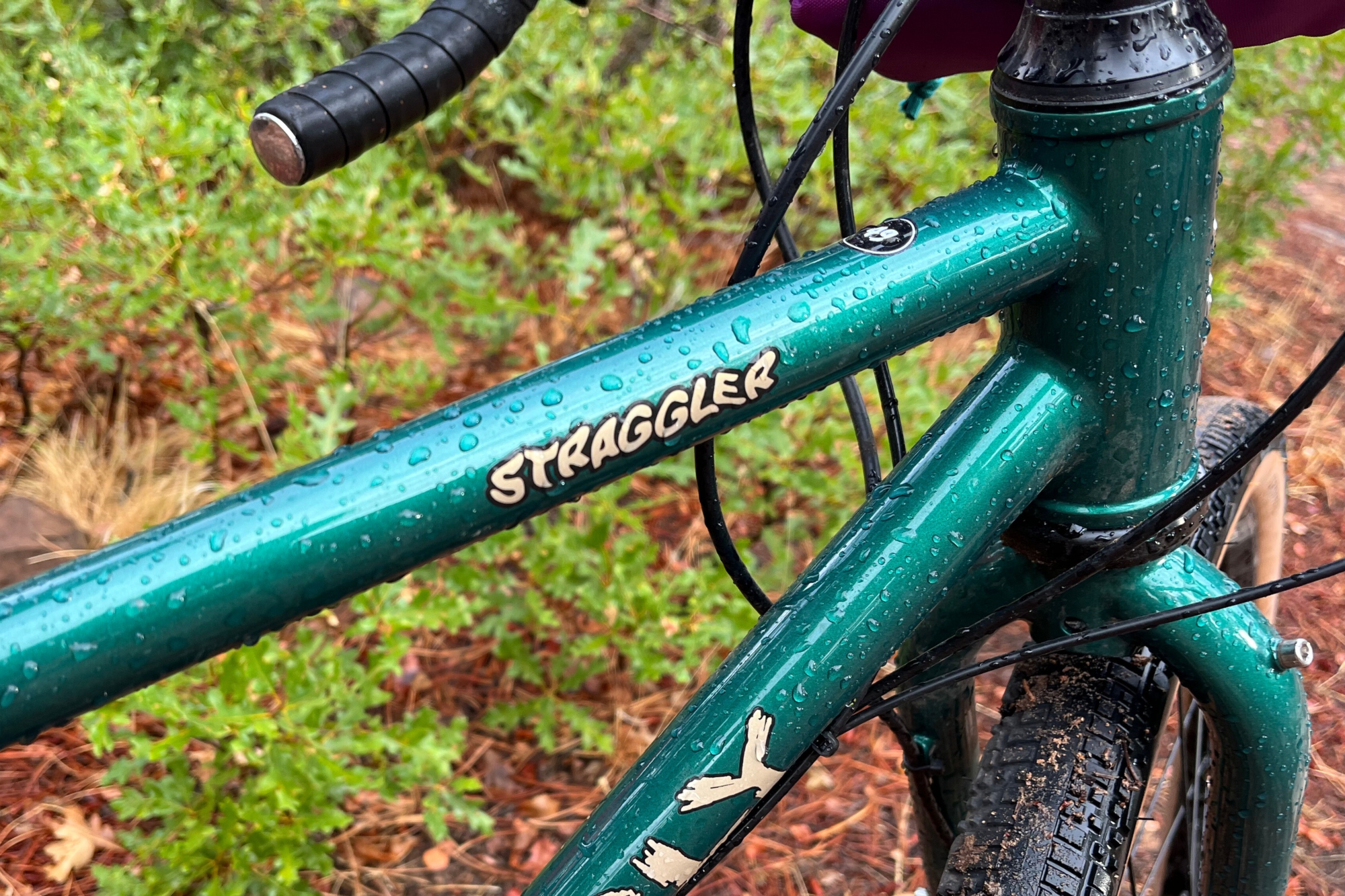 The 2025 Surly Straggler