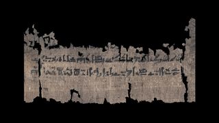 Section of the papyrus that deals with swellings of the skin.