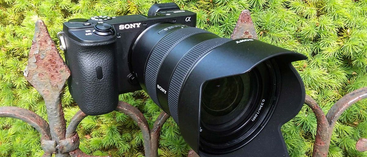 Sony Alpha a6600 review