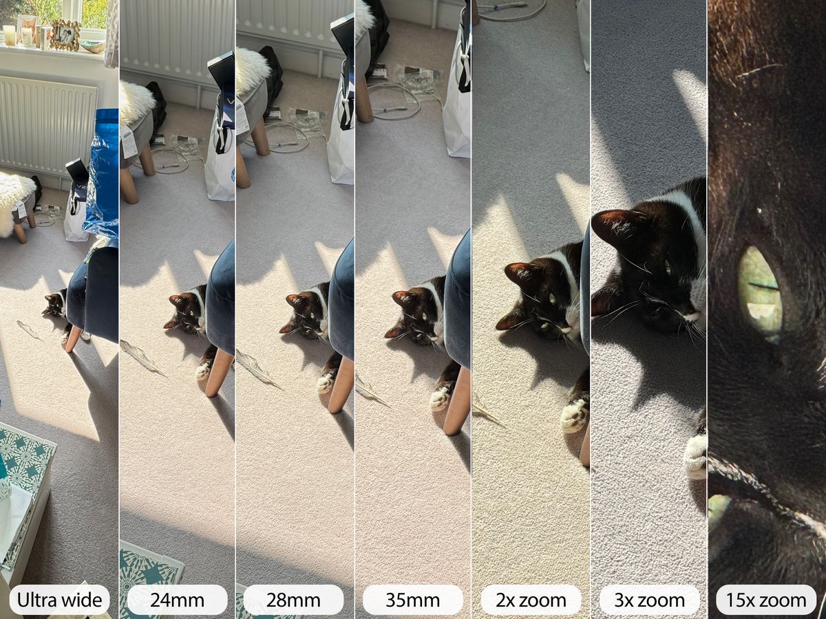 iPhone 15 Pro camera sample cat range