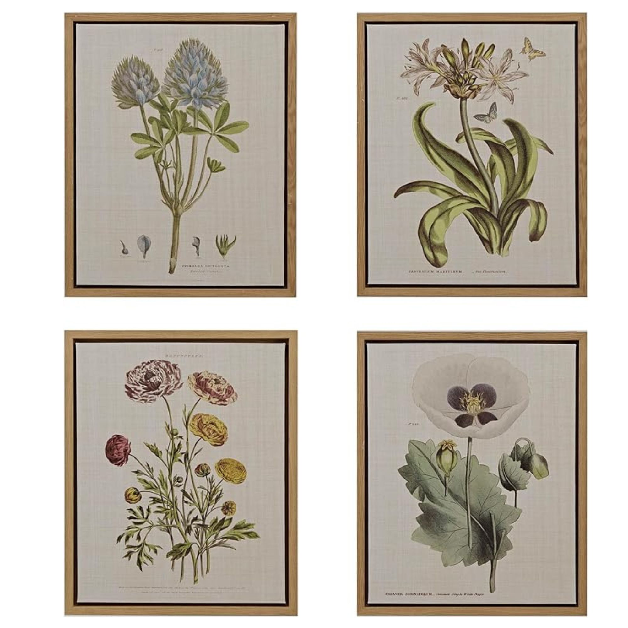 Amazon, Madison Park Botanical Wall Art Living Room Decor (Set of 4)