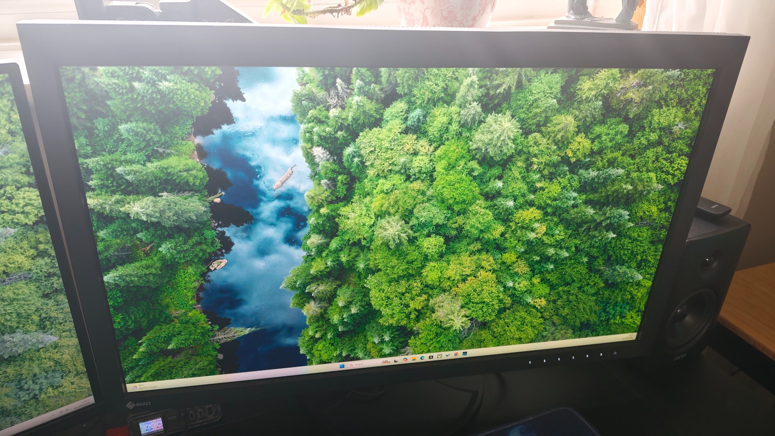 An Eizo ColorEdge CG2700X monitor sitting on a desk, showing a forest image on its screen