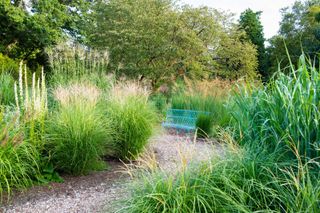 garden gravel ideas in the grass garden at RHS Wisley