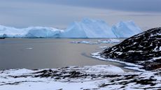 Icebergs near Greenland form from ice that has broken off--or calved--from glaciers on the island. 