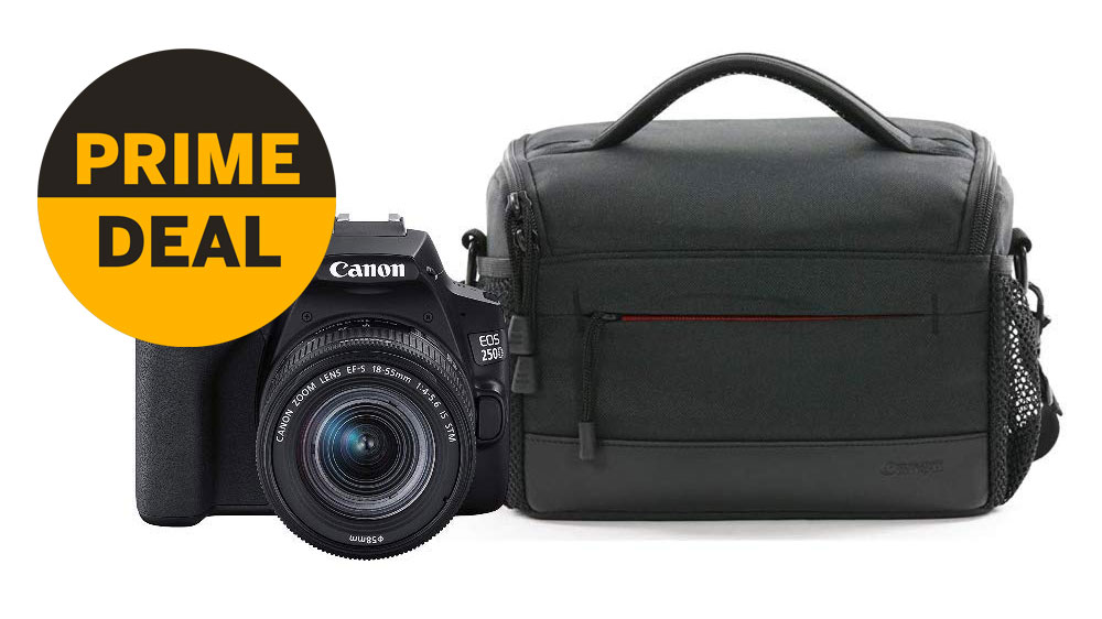 canon es100 camera bag