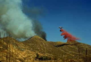 Prescribed fires in central and southern California do not reduce future area burned, as they might in other ecosystems.