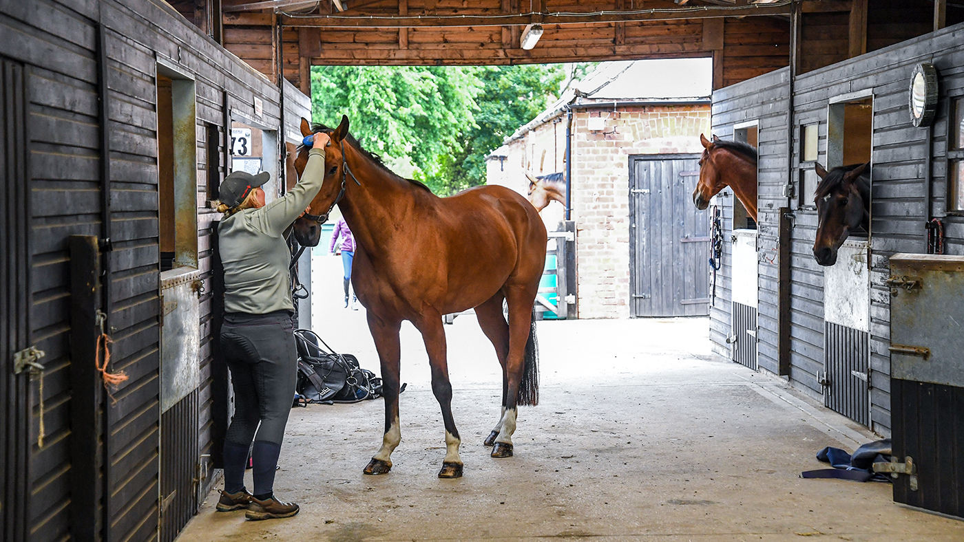 AAA Ros Canter 03 07 2020 Sonja Brown looking after the horses at Ros Canter's yard at Home Farm near Louth in Lincolnshire in the UK on the 3 July 2020