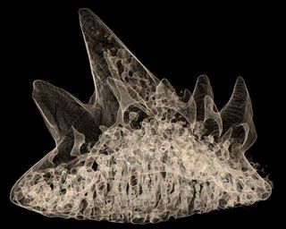 A scan of a 380 million-year-old tooth from a fossil 