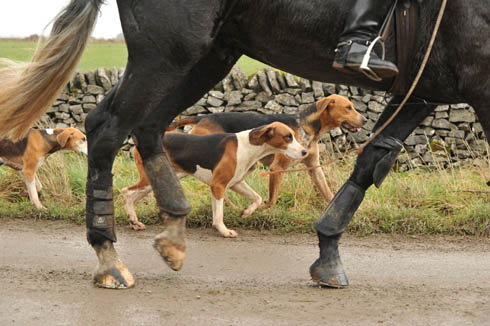 Hunter and hounds
