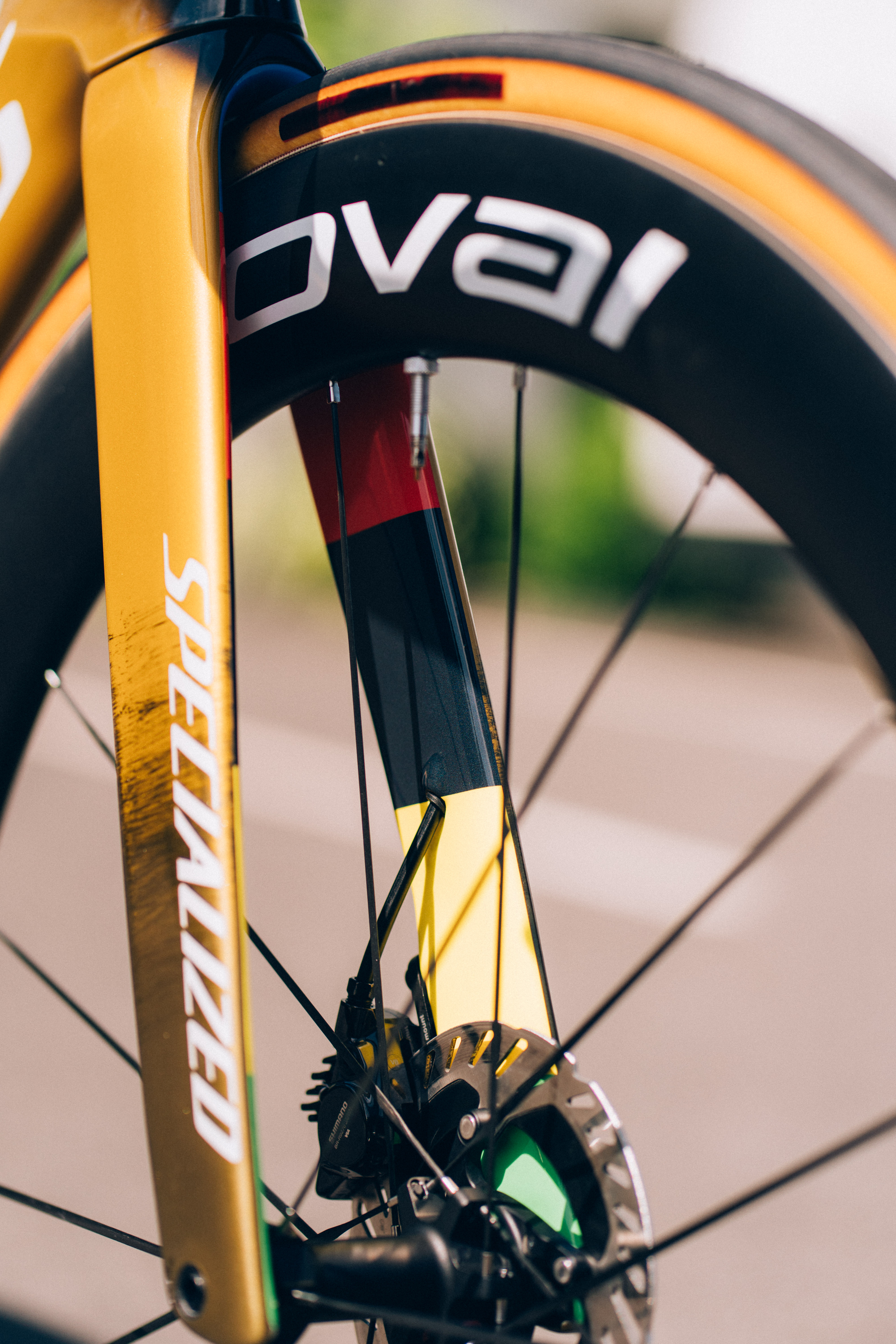 Remco Evenepoel's time trial bike