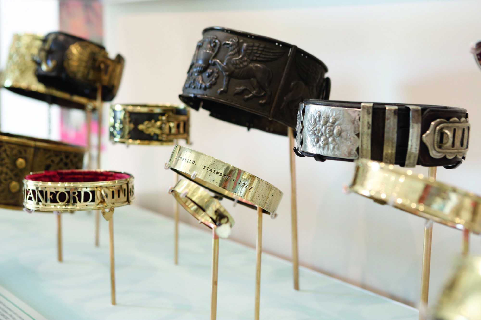 some fabulous dog collars on display