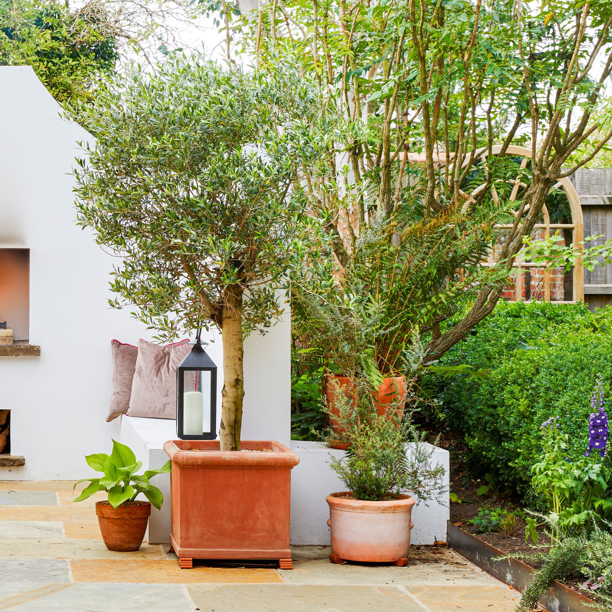 Mediterranean style garden