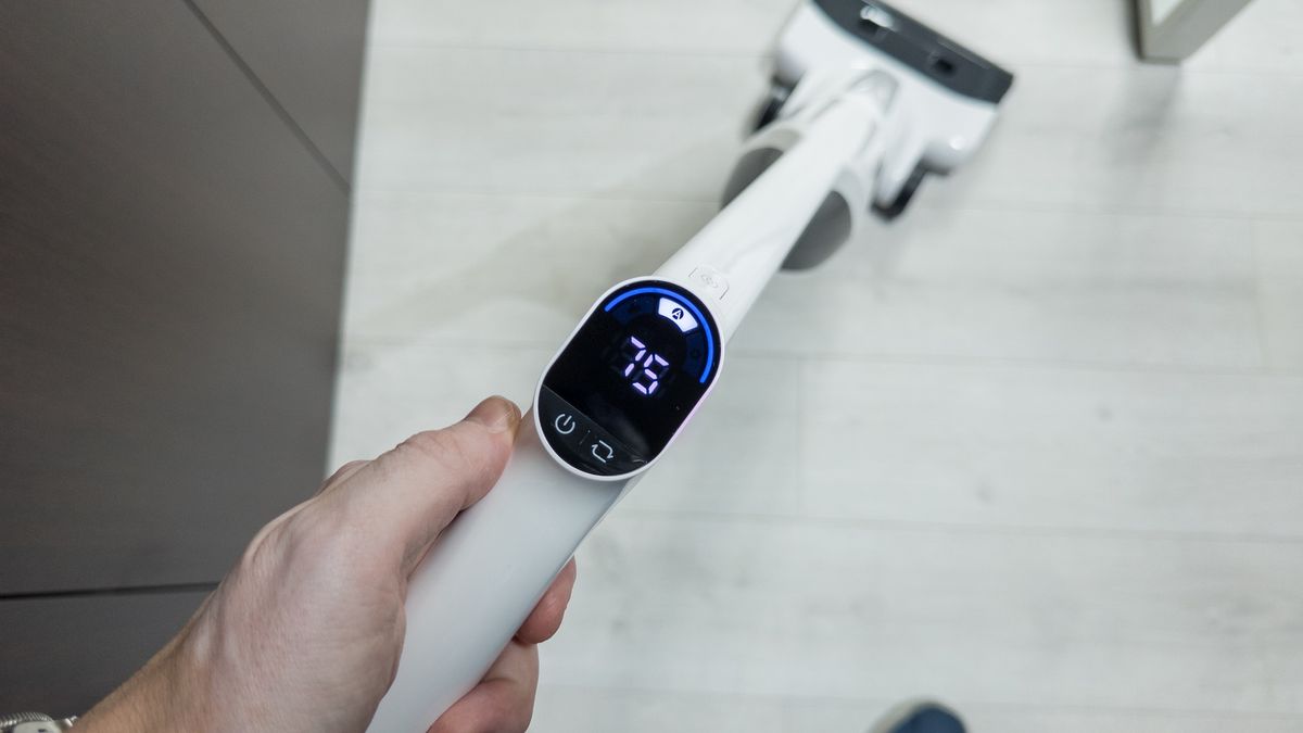 Roborock Flexi Lite
