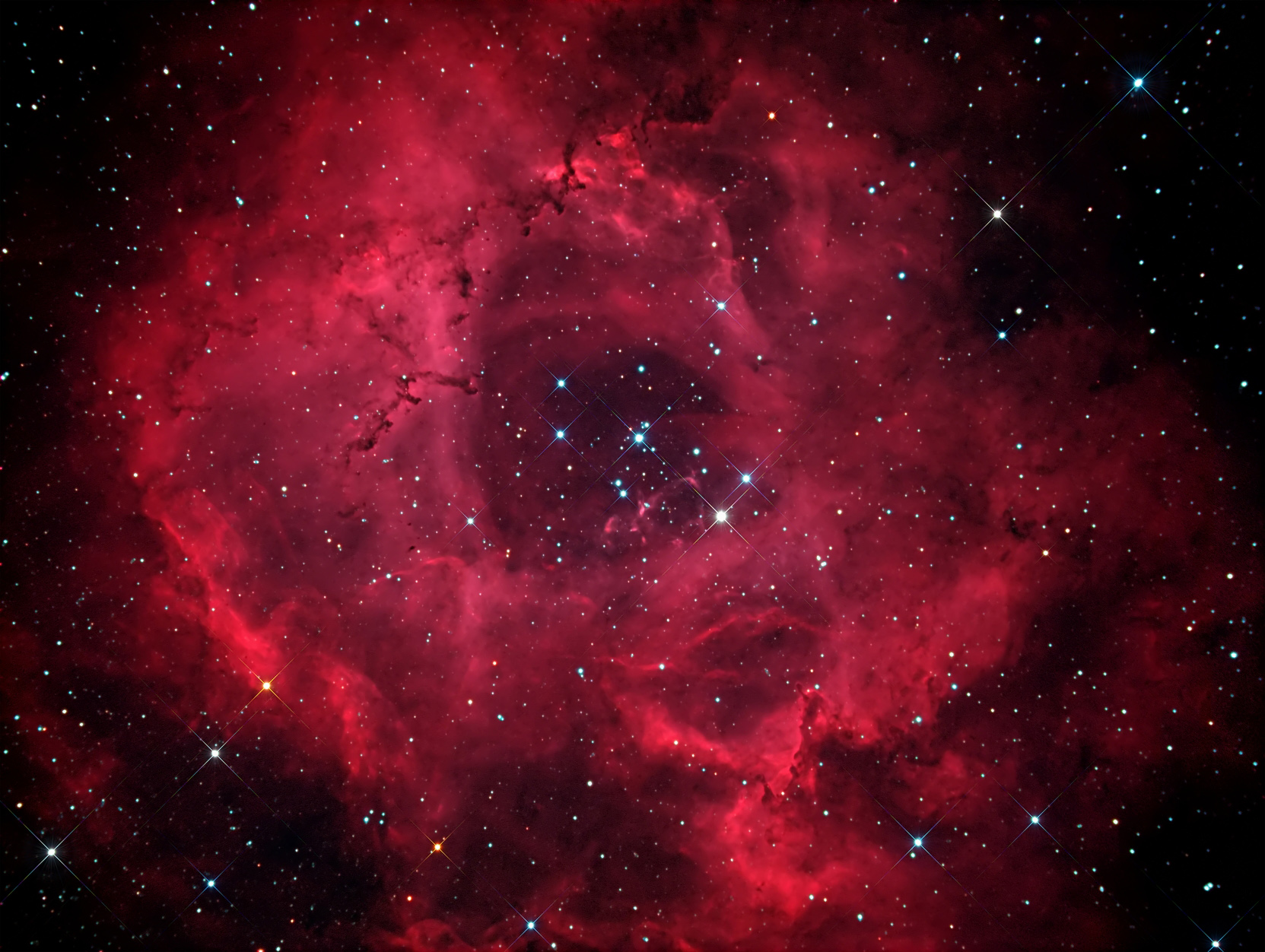 Amateur Astronomer Spots Stunning Rosette Nebula In Full Bloom Photo 