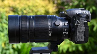 Best lenses for the Panasonic Lumix GH7: Panasonic Leica DG Vario-Elmar 100-400mm f/4-6.3 Asph. Power O.I.S.