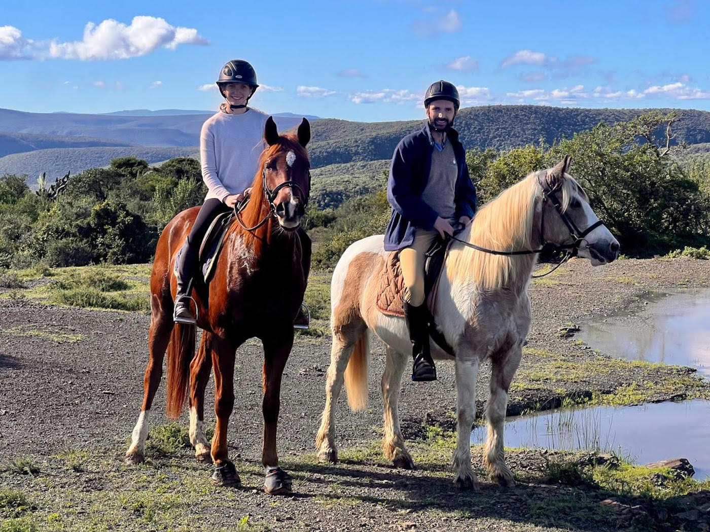 Horses