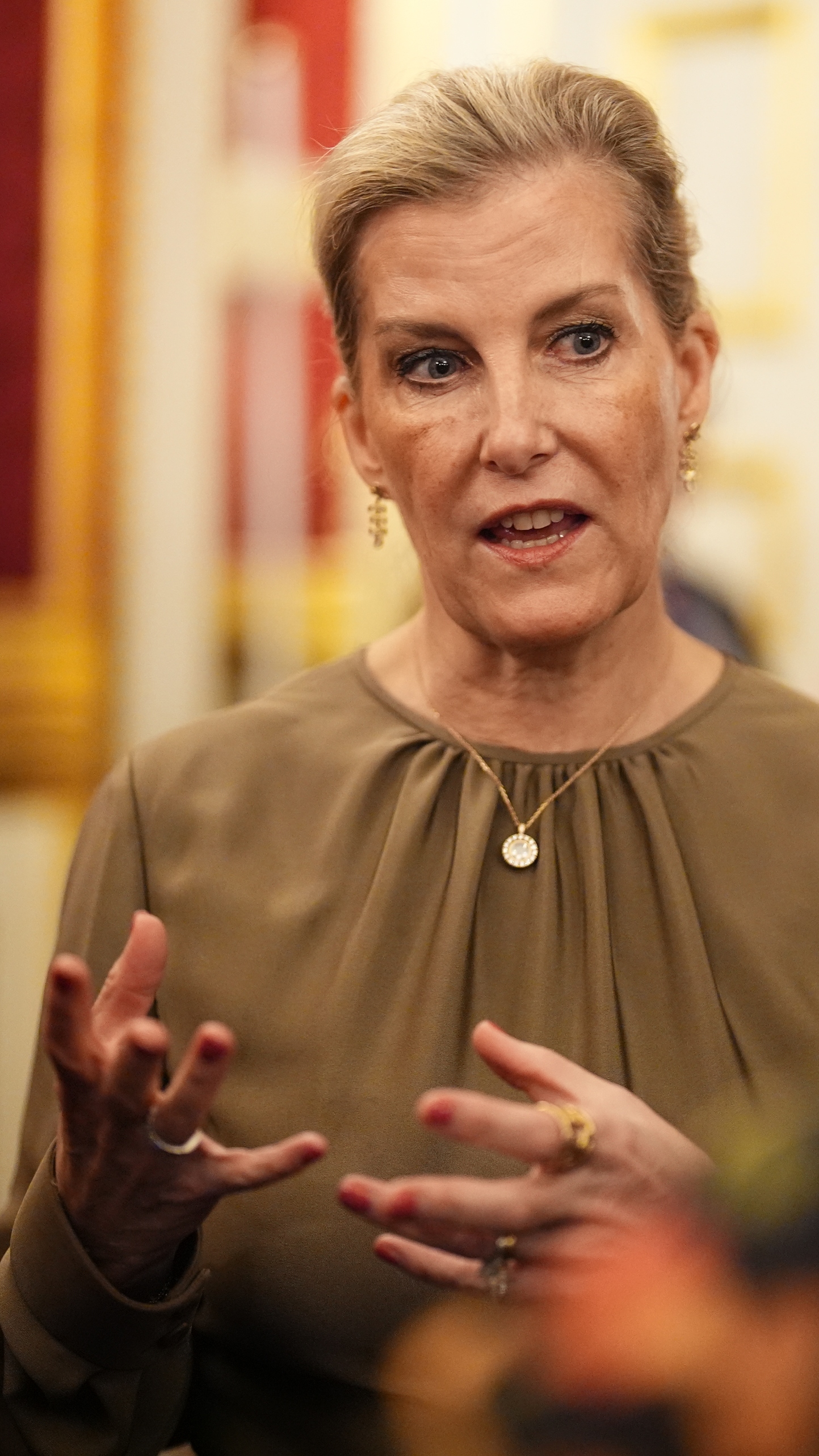Sophie, Duchess of Edinburgh gestures as she speaks to guests during a reception at St James's Palace