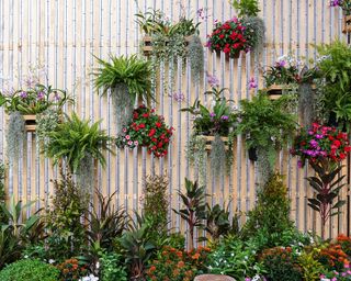 individual planters mounted on a fence