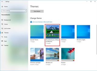 Customize appearance applying theme