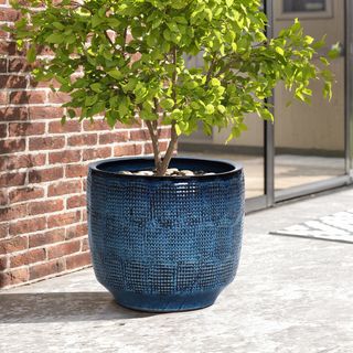 Brayden Studio® Ocean Round Ceramic Planter & Reviews | Wayfair