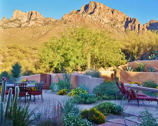 xeriscape by Landscape Design West, LLC with mountains