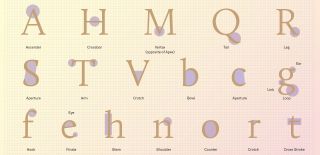 Brand typography: letters and their anatomy