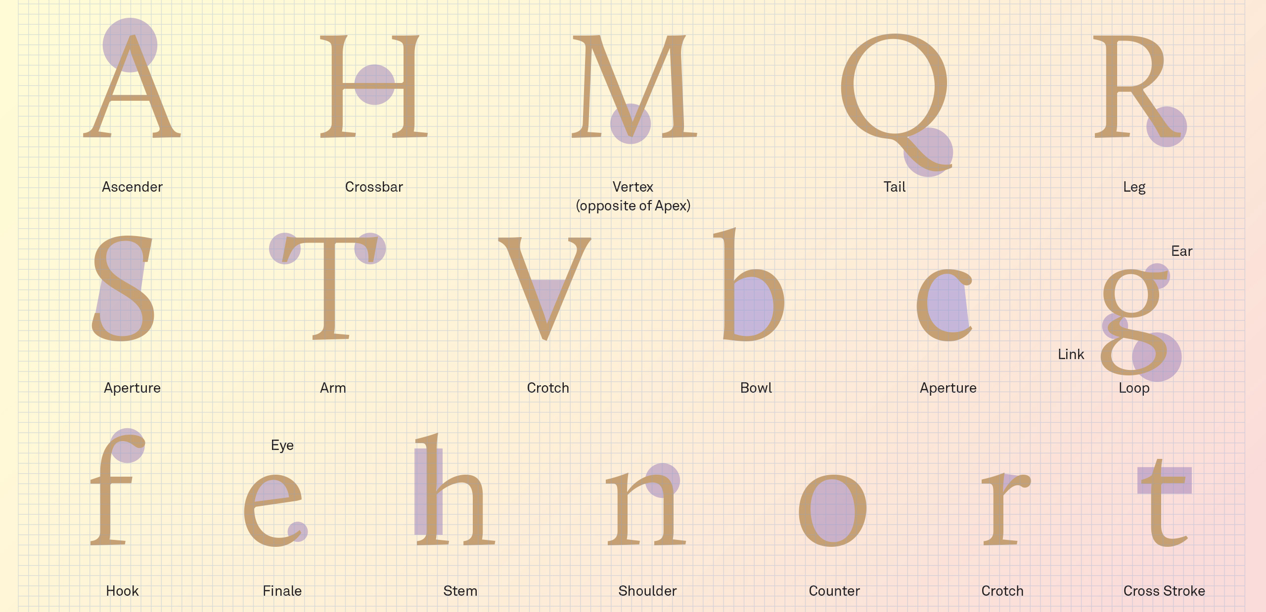 Brand typography: letters and their anatomy