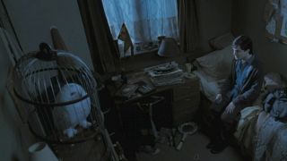 Hedwig in her cage in Harry's room