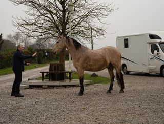 Will Taylor comes face to face with a horse after being set up by Cain Dingle 