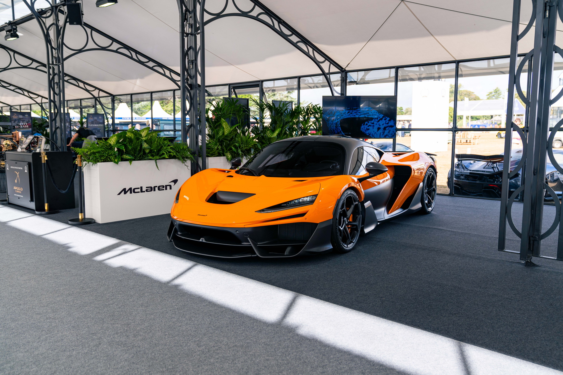 The McLaren W1