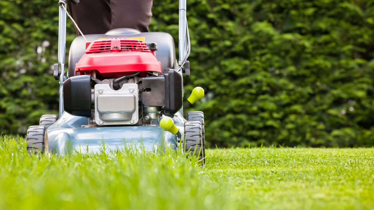 First lawn cut of the year — the experts explain when and how to do it
