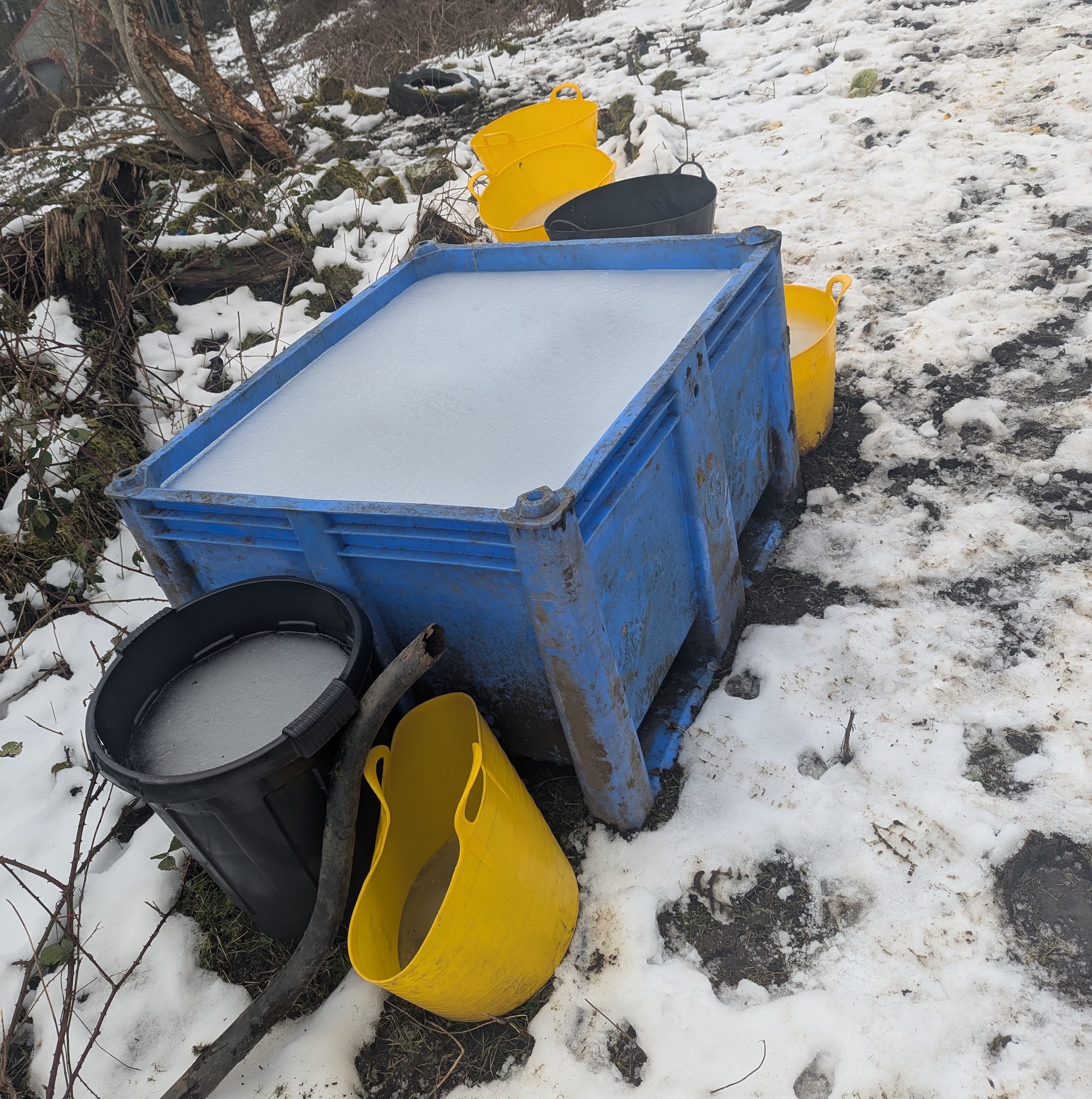 The frozen water containers