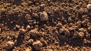 clay soil consistency