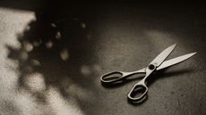 Horl Scissors