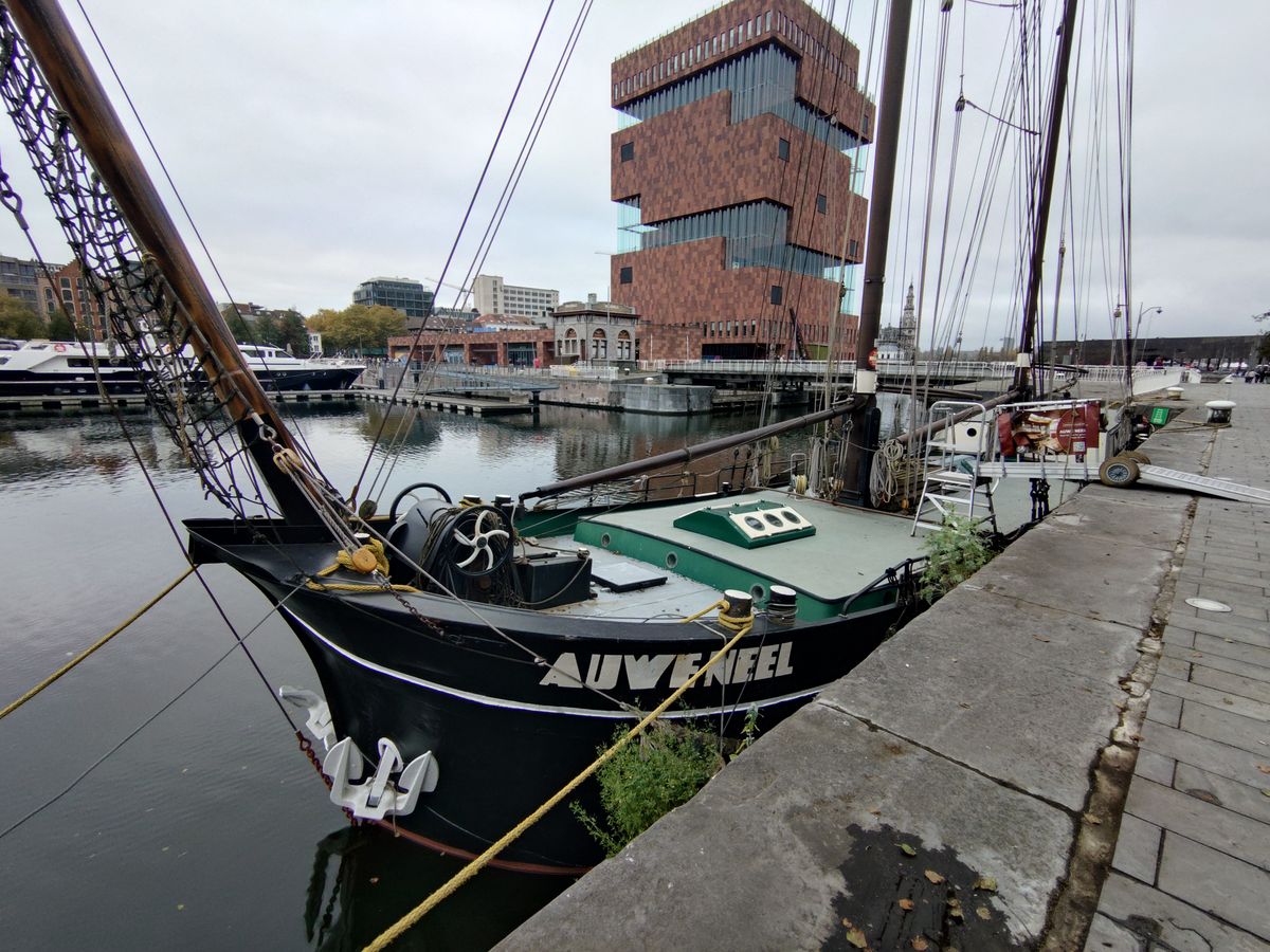 Voorbeeldfoto Sony Xperia 10 VII