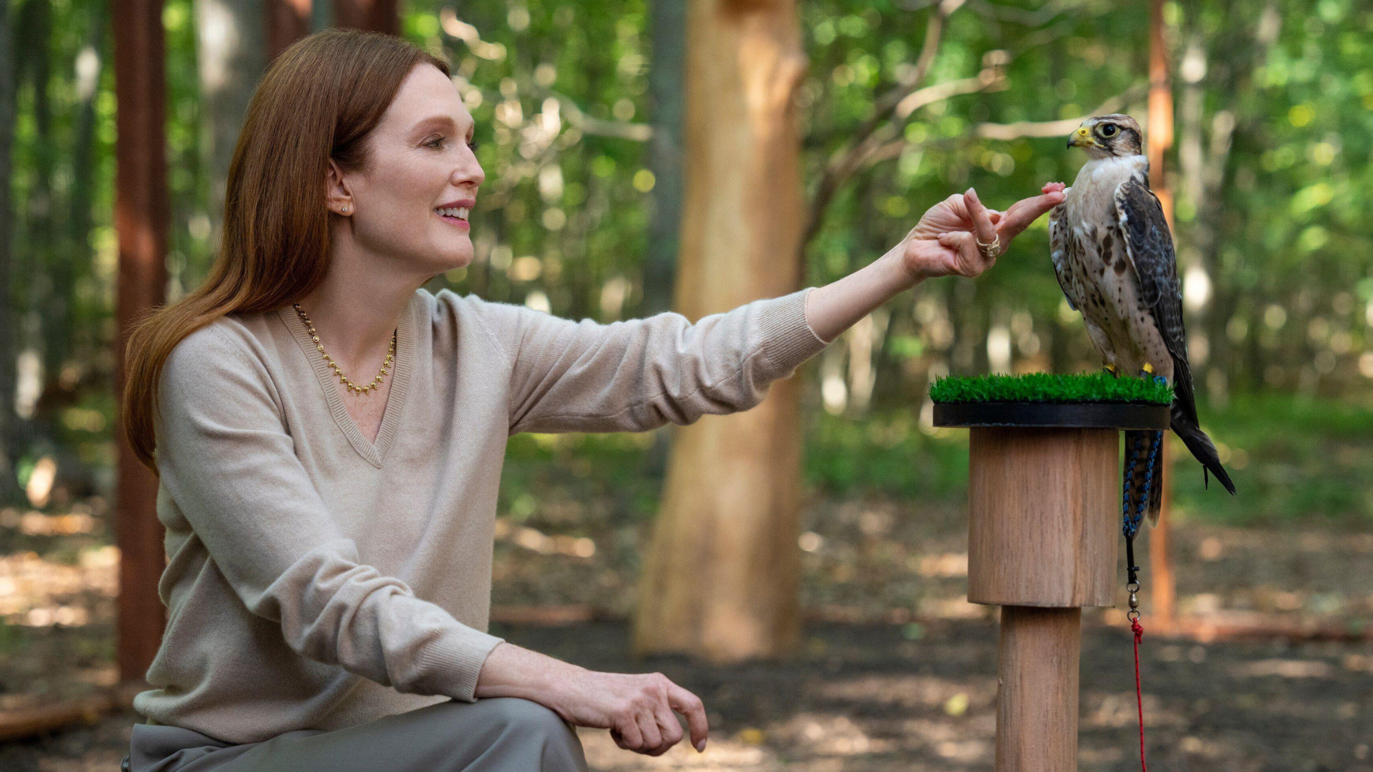 Julianne Moore in Sirens