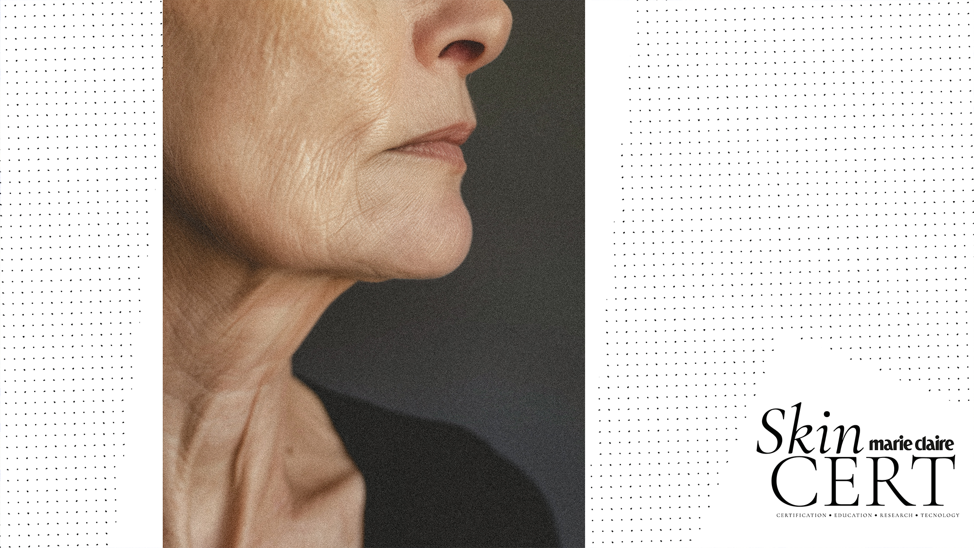 Skincert: Inflammaging