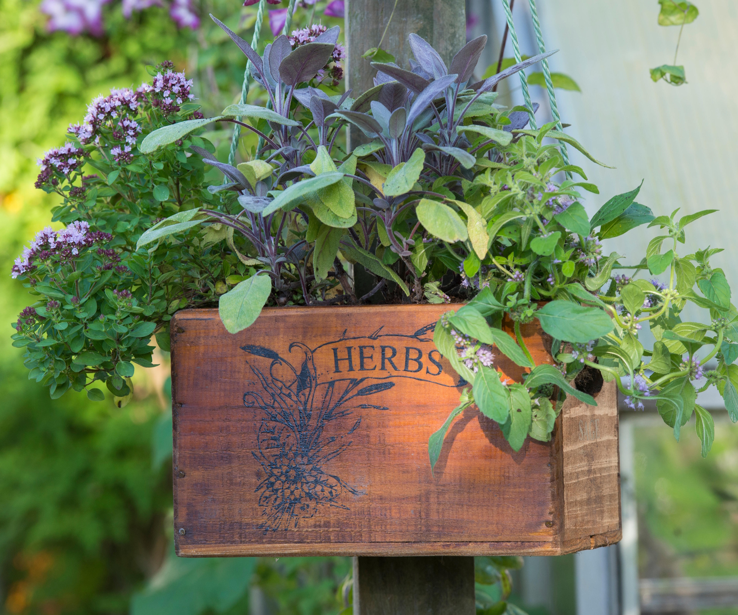 Fall herb planter