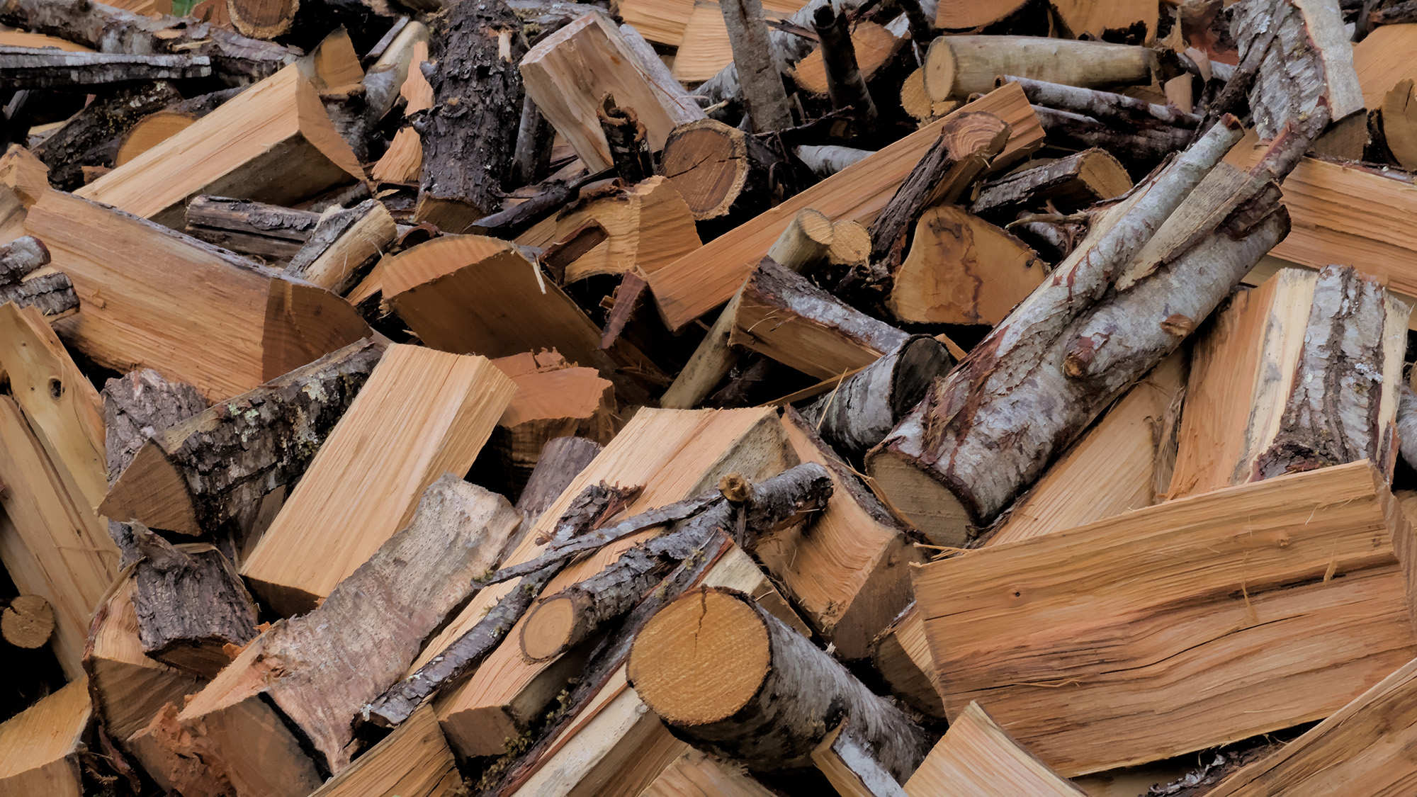 Freshly cut firewood