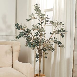Faux Olive Leaf Tree in Starter Pot by Valerie