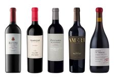 Argentina wines