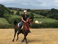 cantering-e1534154178924.jpg